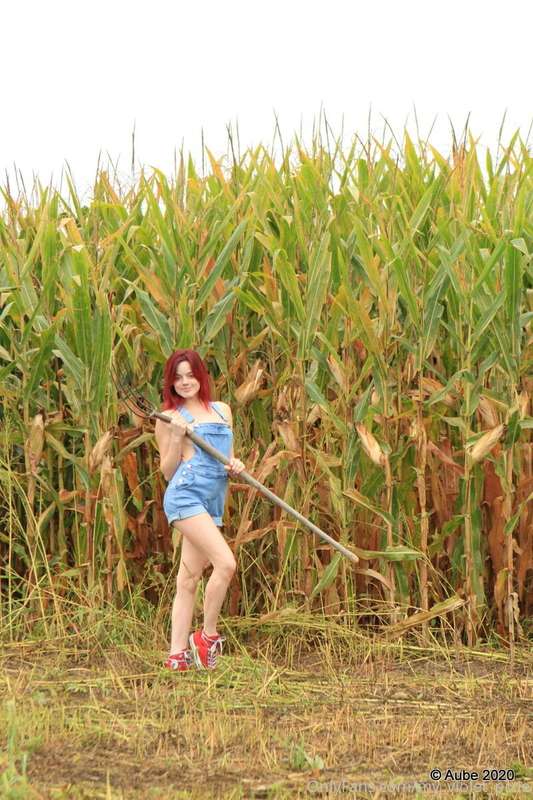 my_violet_pixie image #9