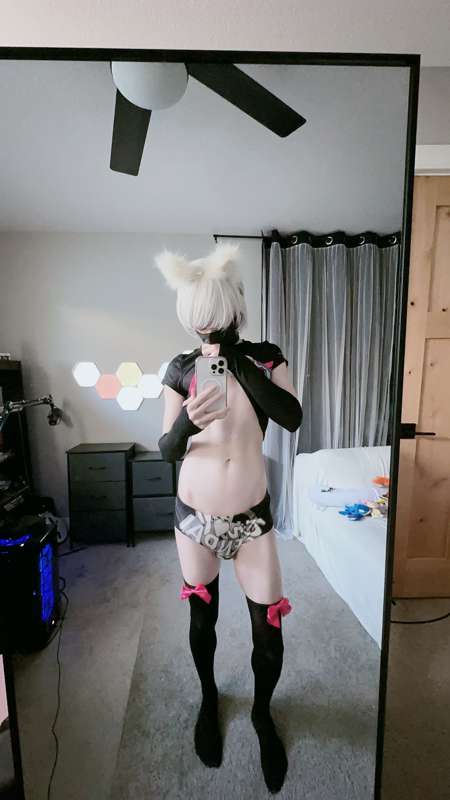 catboiaoi image #8