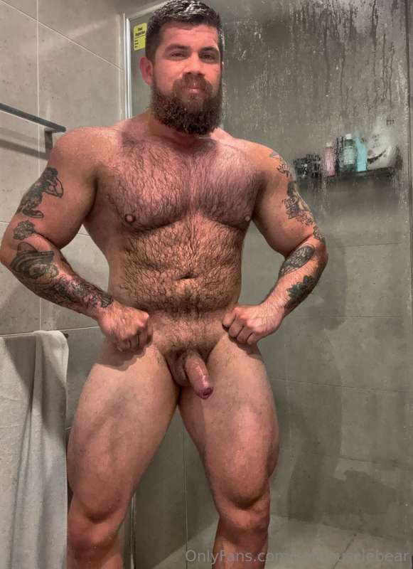 coltmusclebear