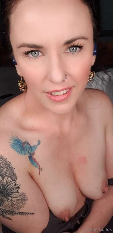 lilyanncolfox