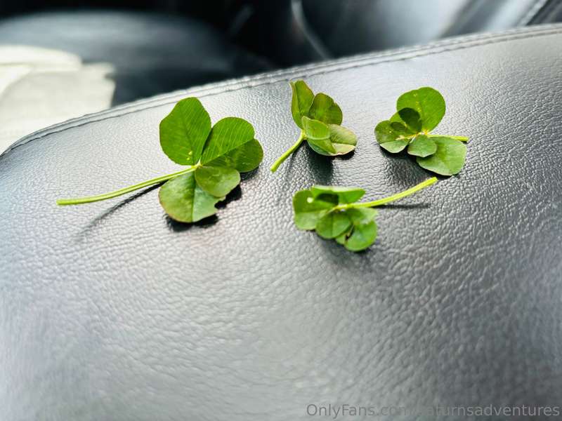 Found some 4 and 5 leaf clovers today! 🥰 tip this post and s..