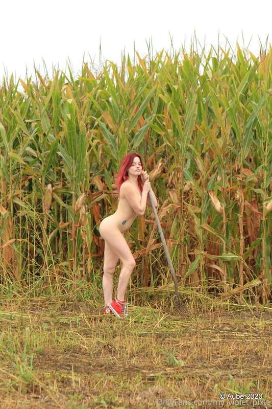 my_violet_pixie image #14