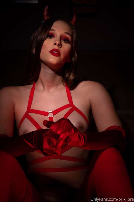 brixlibra image #3