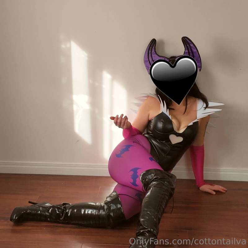 cottontailva image #10