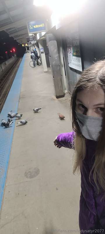 media