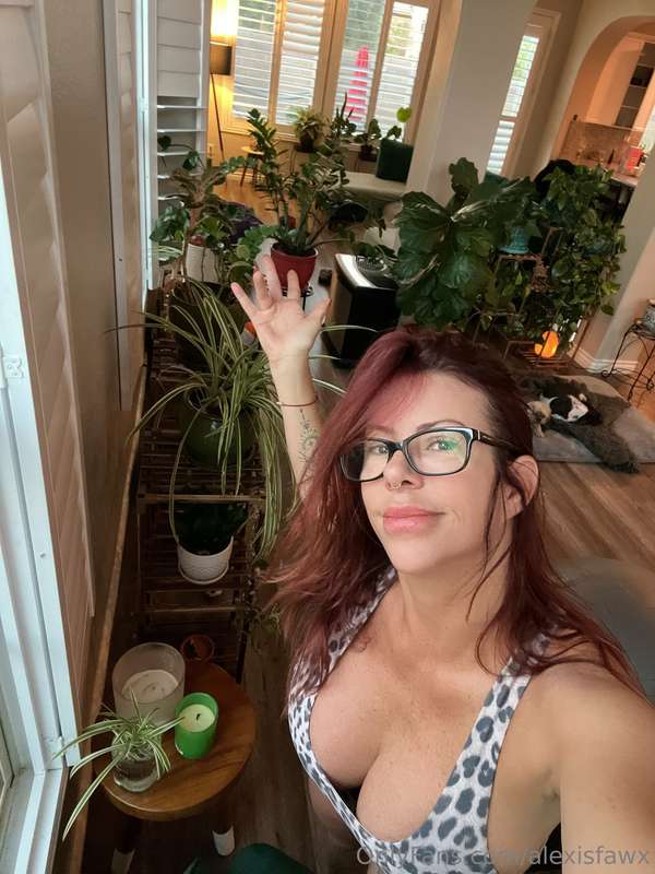 Photo 202 of Alexis Fawx on Tocromo