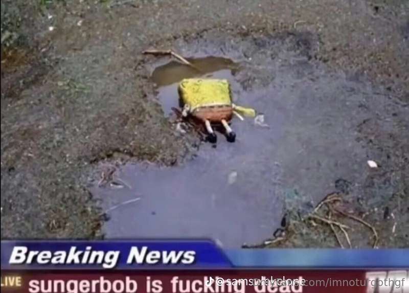media