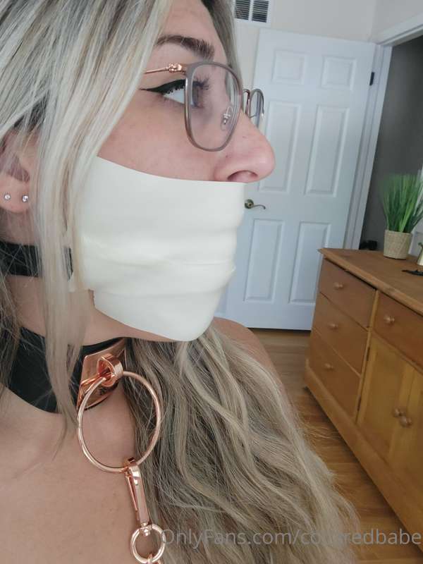 collaredbabe image #1