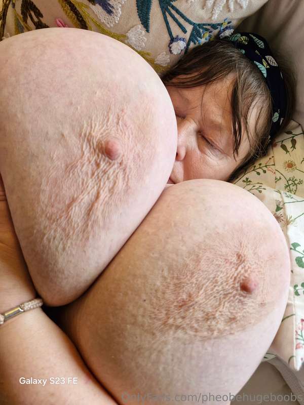 pheobehugeboobs