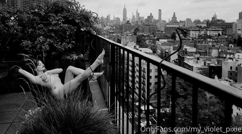 my_violet_pixie image #0