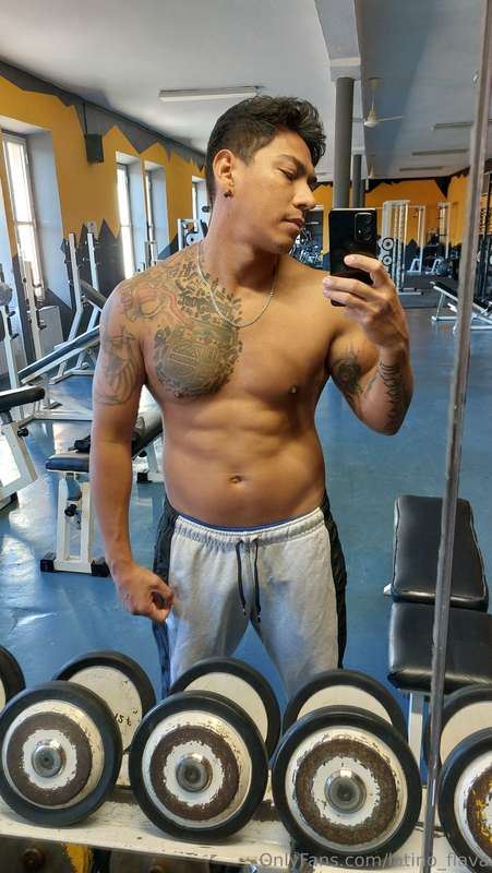 latino_flava