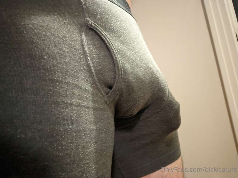 dickicature image #0