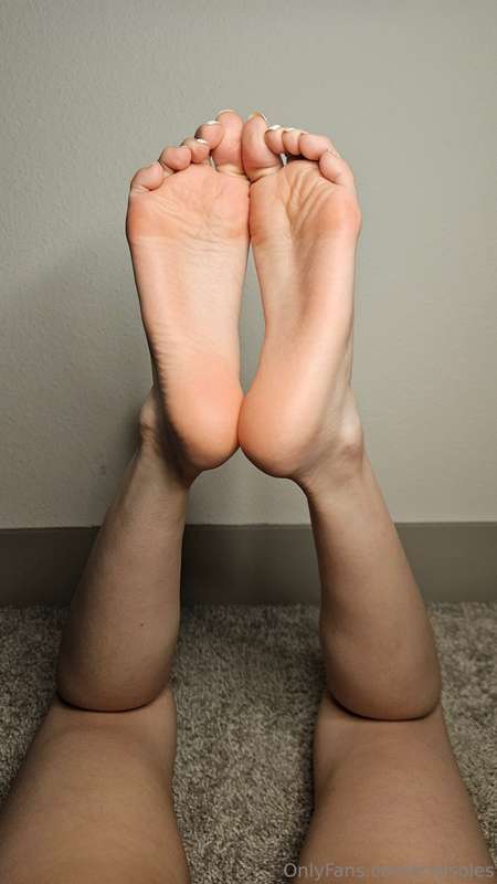 meisoles image #0