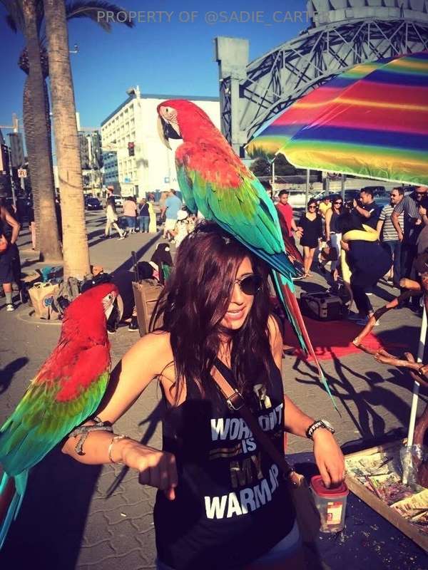 TBT when I thought the bird on my head was fixing to shit 