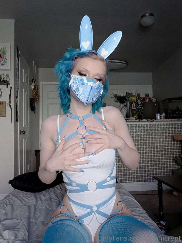bunnicrypt image #1