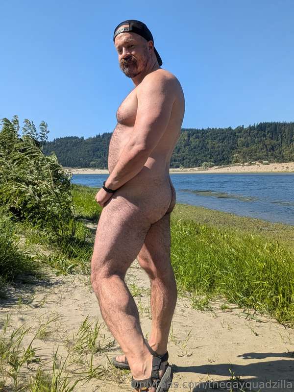 thegayquadzilla