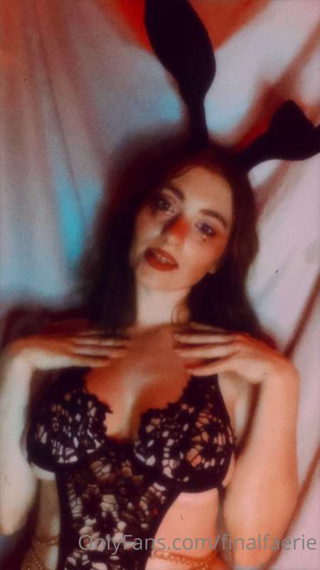 do you think i’m a dumb bunny? 🥺