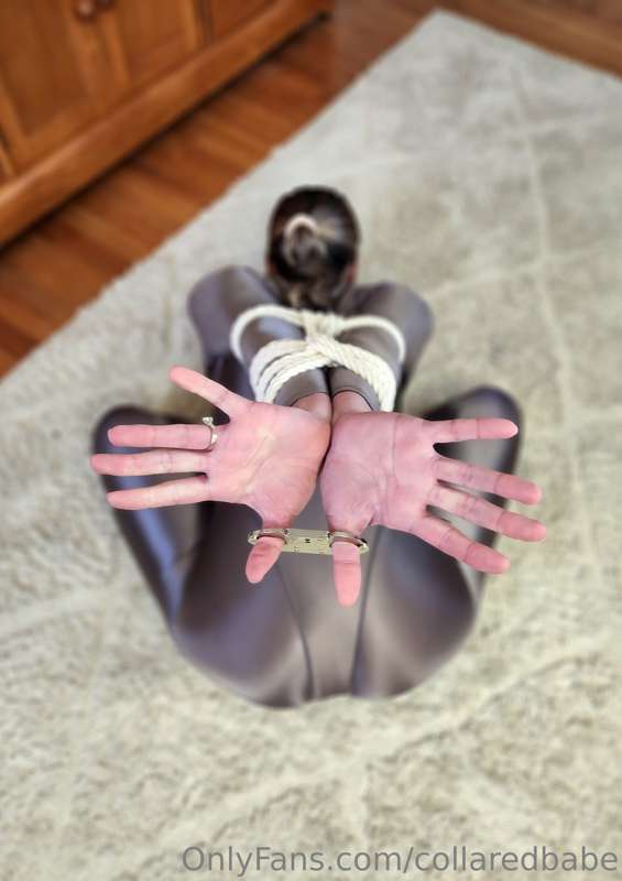 collaredbabe image #4