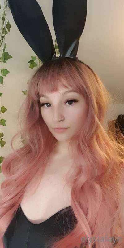 elysiafayex
