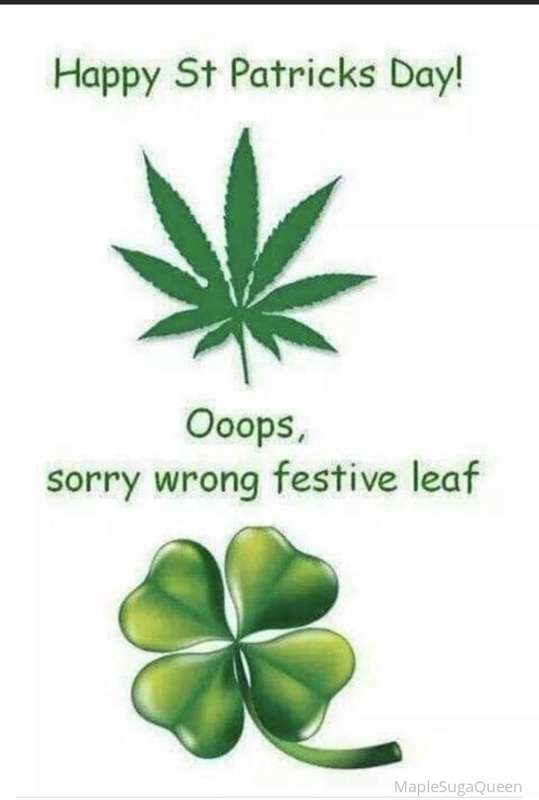 Hahahahaha happy st. Patrick’s day ☘️