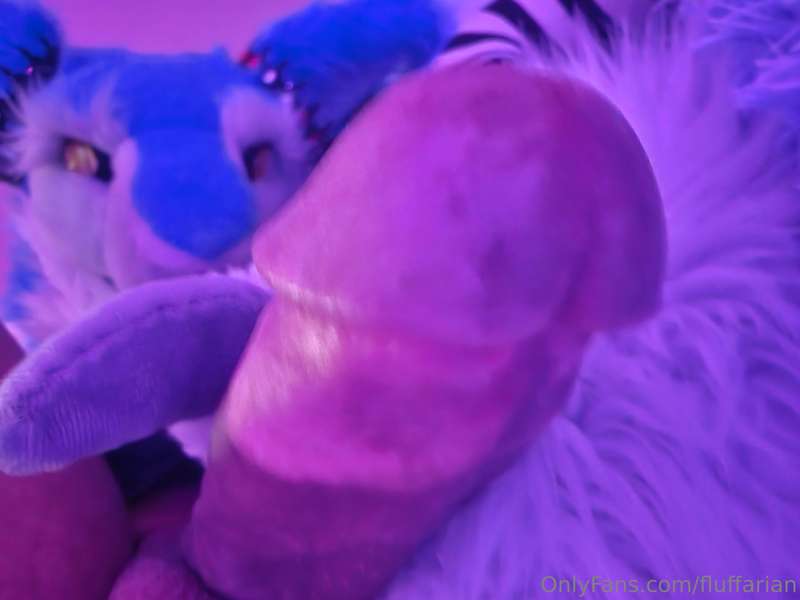 fluffarian