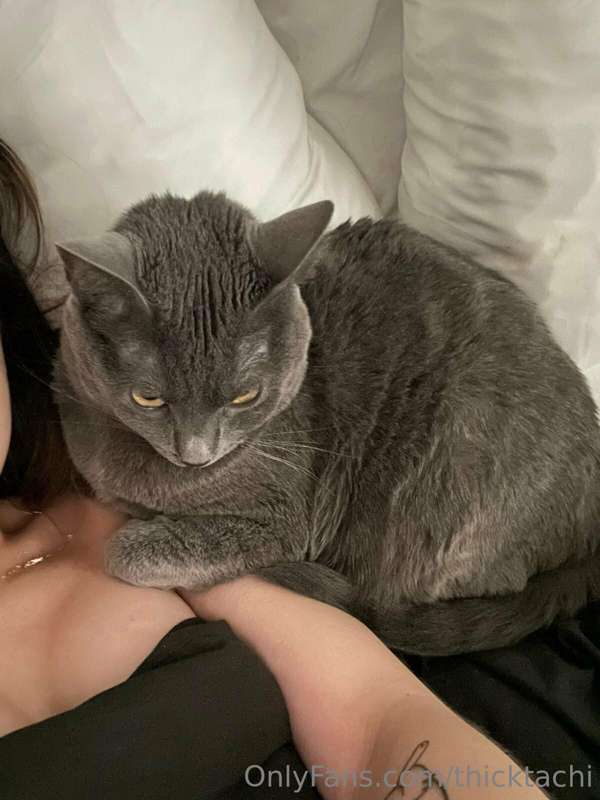 thicktachi
