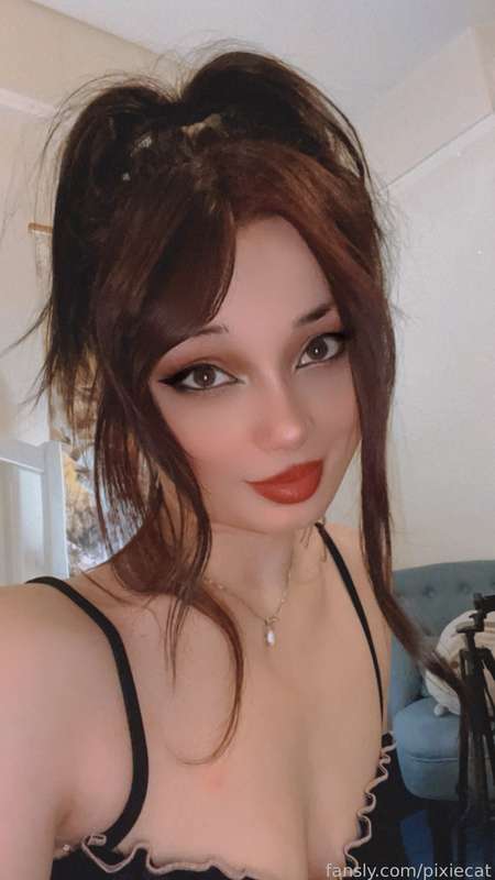 pixiecat image #9