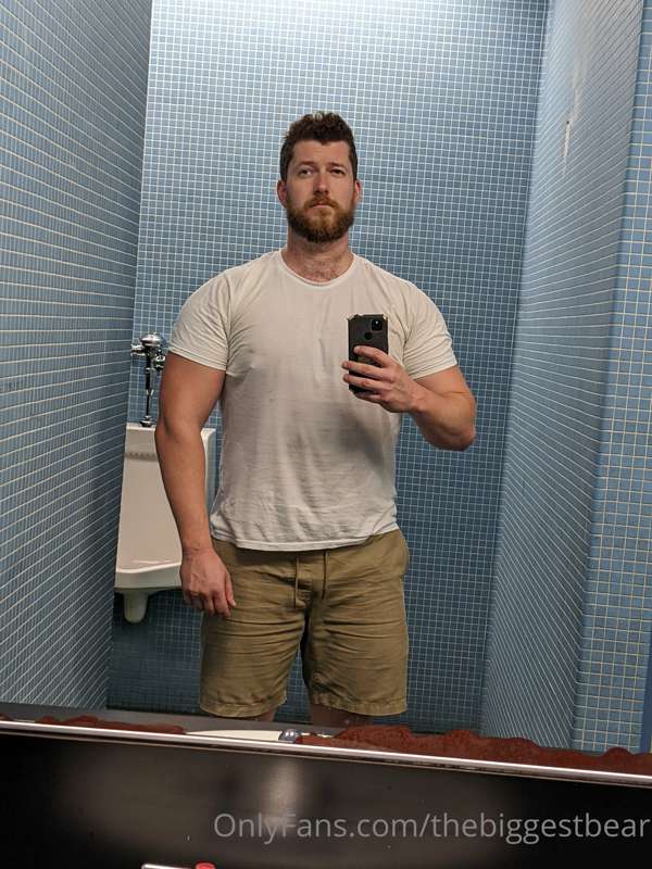 thebiggestbear