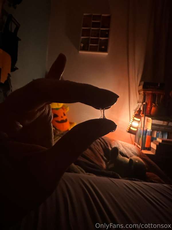 cottonsox photo