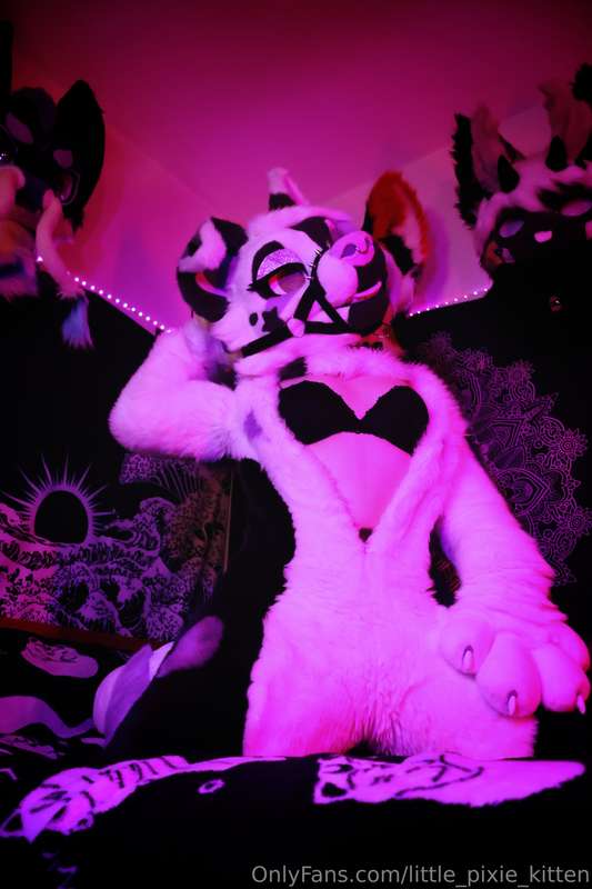 little_pixie_kitten image #2
