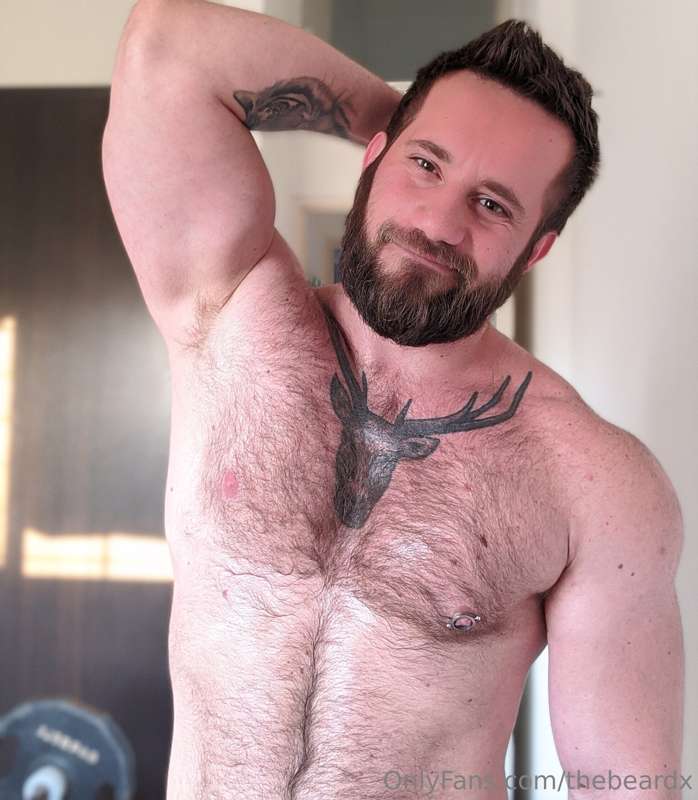 thebeardx