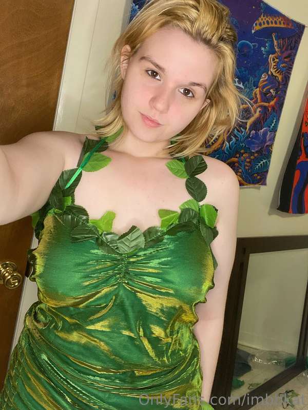 imbbkat image #0