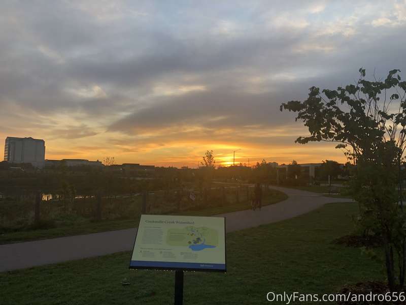 Halo all, got a lovely #walk in for early morning. Had a lit..