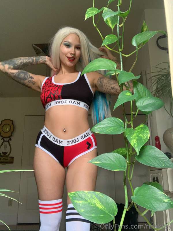 Wanna see Harley Quinn do anal? 🤭