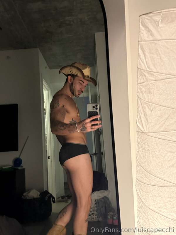 luiscapecchi