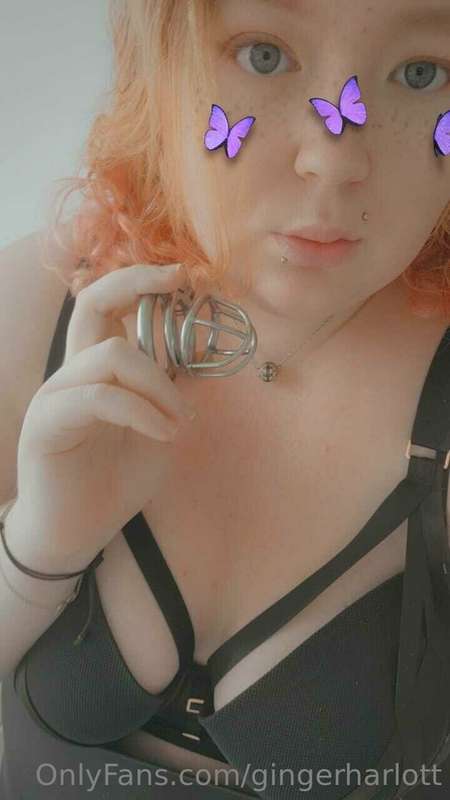 gingerharlott