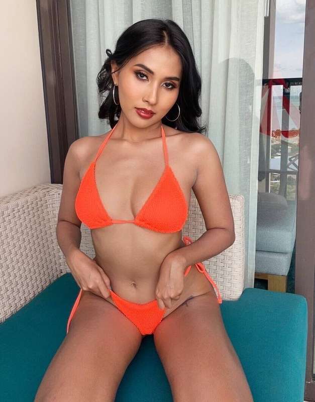 transsohot