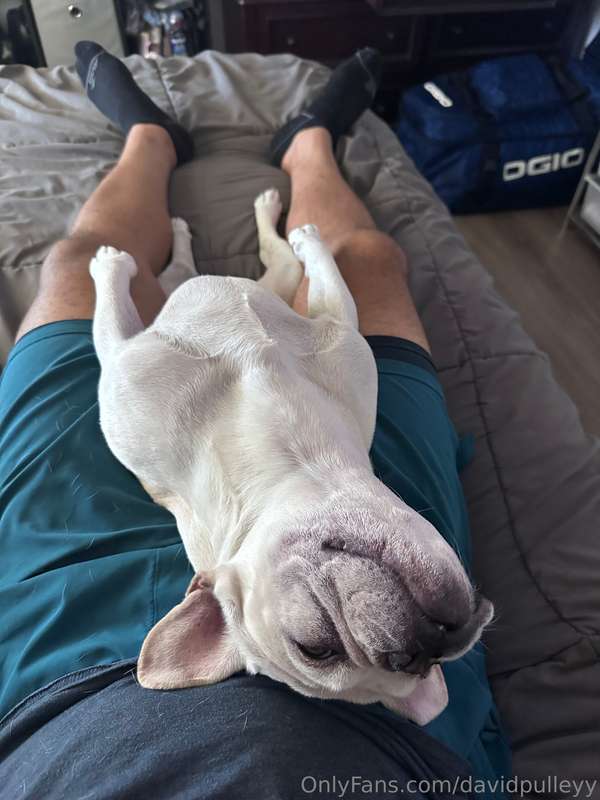 My little gremlin pup missed his dad haha. 