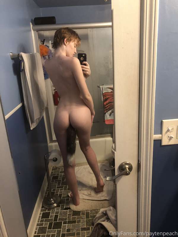 gingerkitty47 image #1