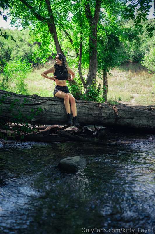 kitty_kaya1