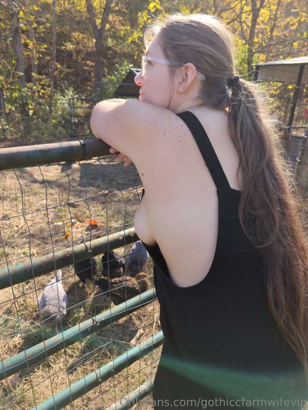 media