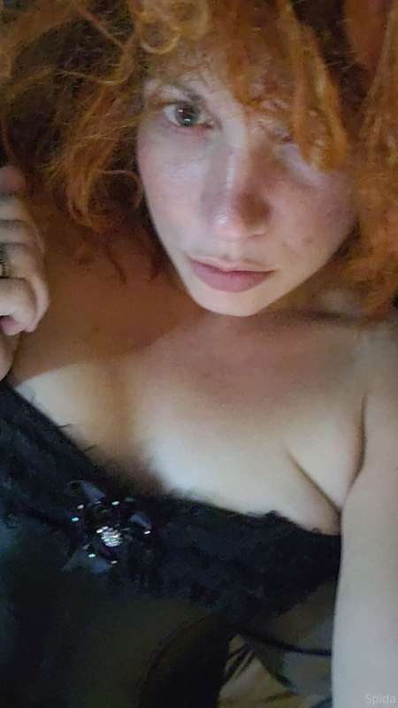 queenspida image #3