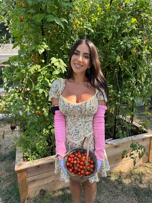 Hungry for fresh tomatoes or me?? 🥰