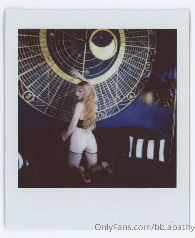 🌙 PHASES OF THE MOON // instant film shot by @allpurposeflou..