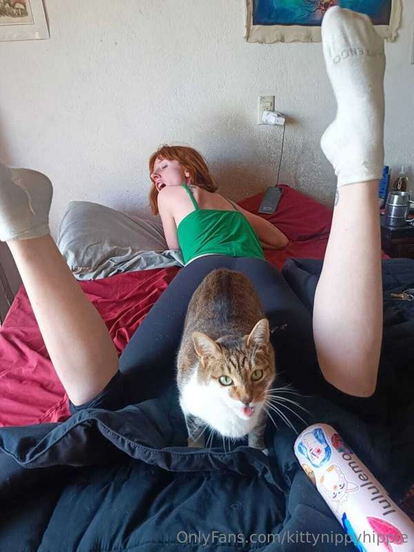 kittynippyhippie image #3
