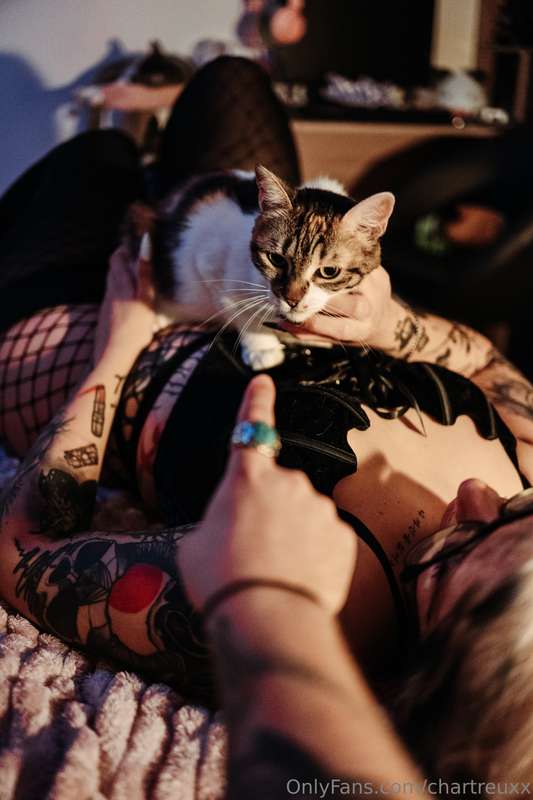 chartreuxx image #1