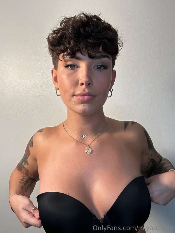 miyaacacia