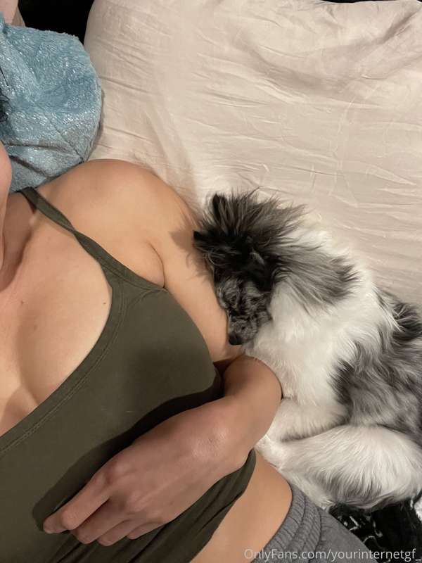 My sweet puppy Kitana had an accident and needs emergency su..