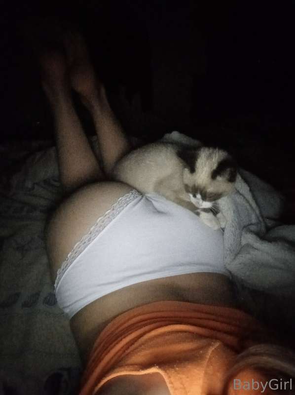 puss03 image #0