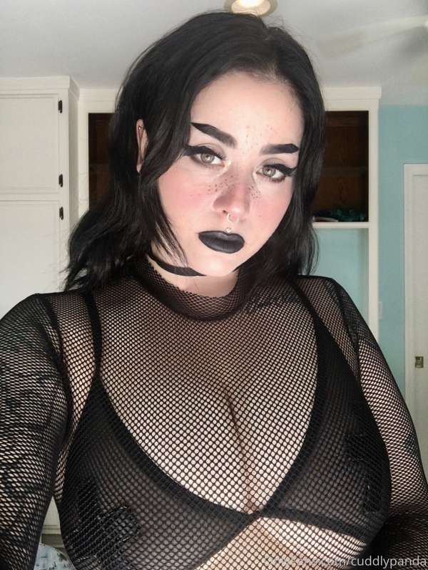 babpanda image #1